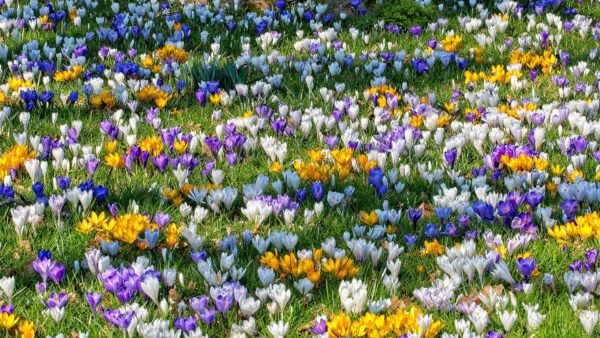 5x Leuke Tips voor de Krokusvakantie in de Ardennen