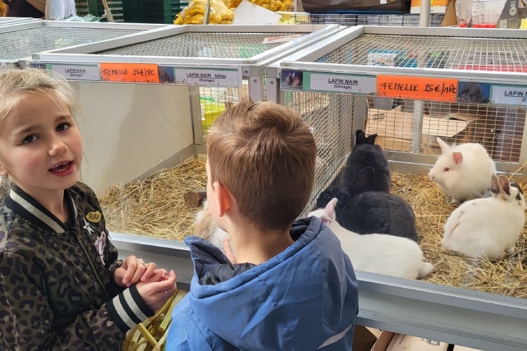 Marché de la Batte in Luik, grote markt op zondag