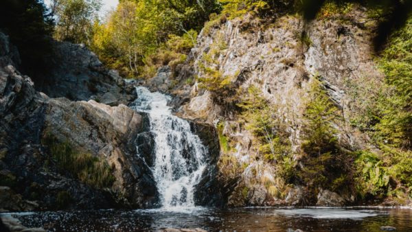 Wandeling naar de Waterval van de Bayehon