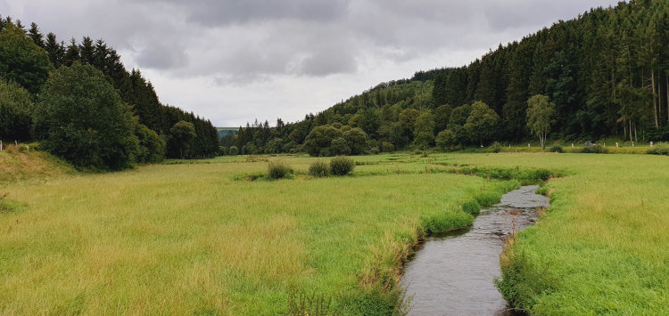 meanderende rivier de Trëtterbaach