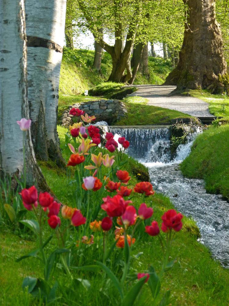Romantische watertuinen aan de Boven Maas