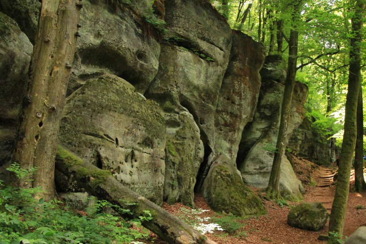 Gorges du Loup in Echternach