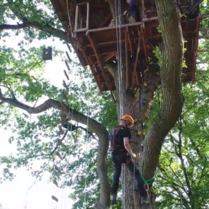 Adrenaline Treehouse XL in de Ardennen