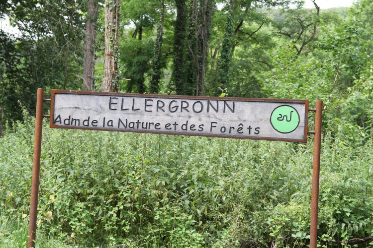 Wandelen in natuurreservaat Ellergronn