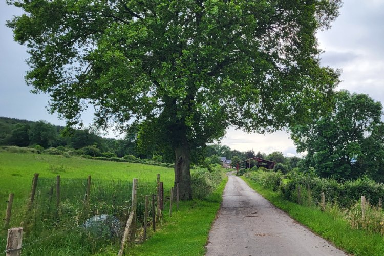 Familiewandeling in Heyd: Hé des Pourceaux