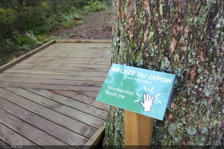 4 Mooie wandelingen in Vielsalm, ontdek So Bêchefa