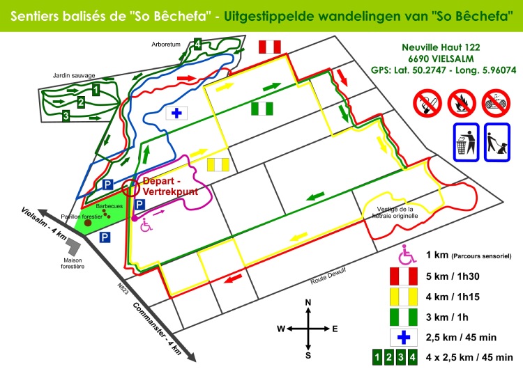 4 Mooie wandelingen in Vielsalm, ontdek So Bêchefa