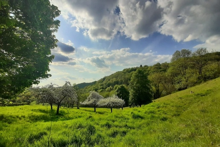 Mooie natuur in het Land van Herve