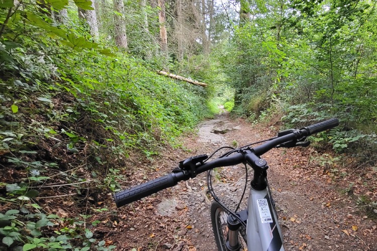 Mountainbike routes in La Roche-en-Ardenne