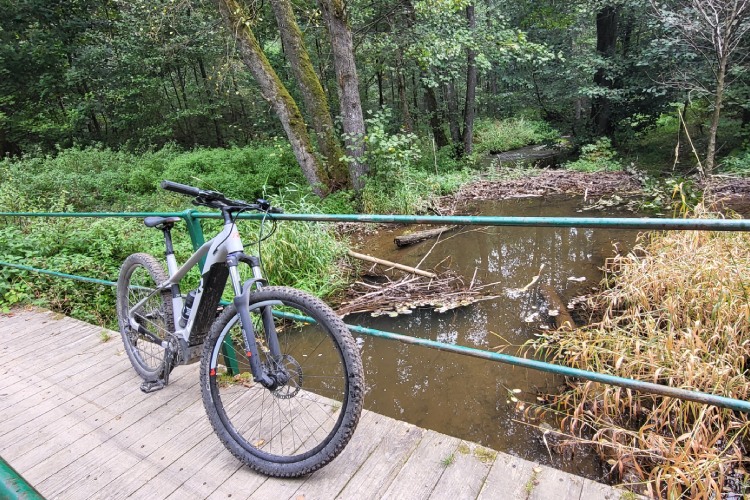 Mountainbike routes in La Roche-en-Ardenne