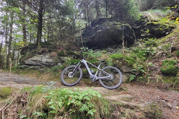 Mountainbike routes in La Roche-en-Ardenne