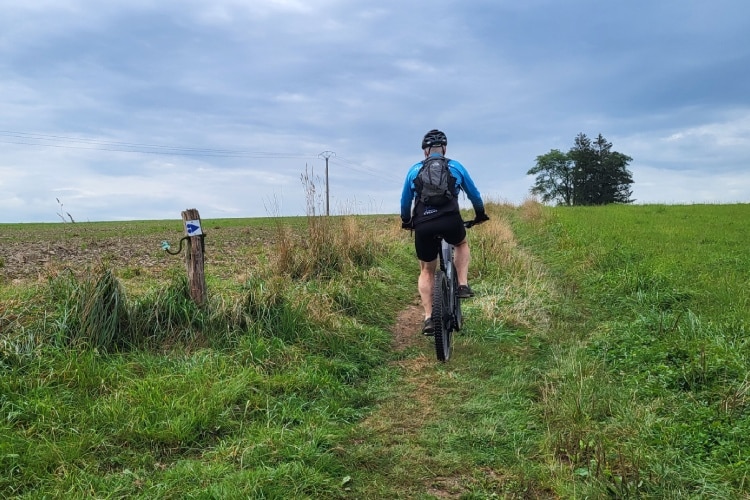 Mountainbike routes in La Roche-en-Ardenne