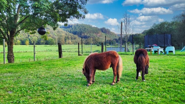 Vakantiehuis Amor Natura in Rendeux met kinderboerderij