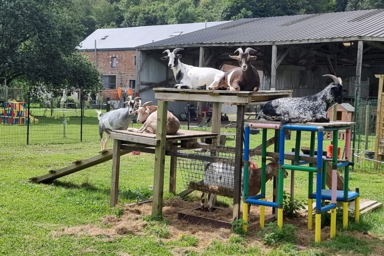 Vakantiehuis Amor Natura in Rendeux