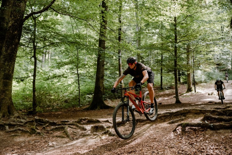 E-Mountainbike avontuur in La Roche-en-Ardenne