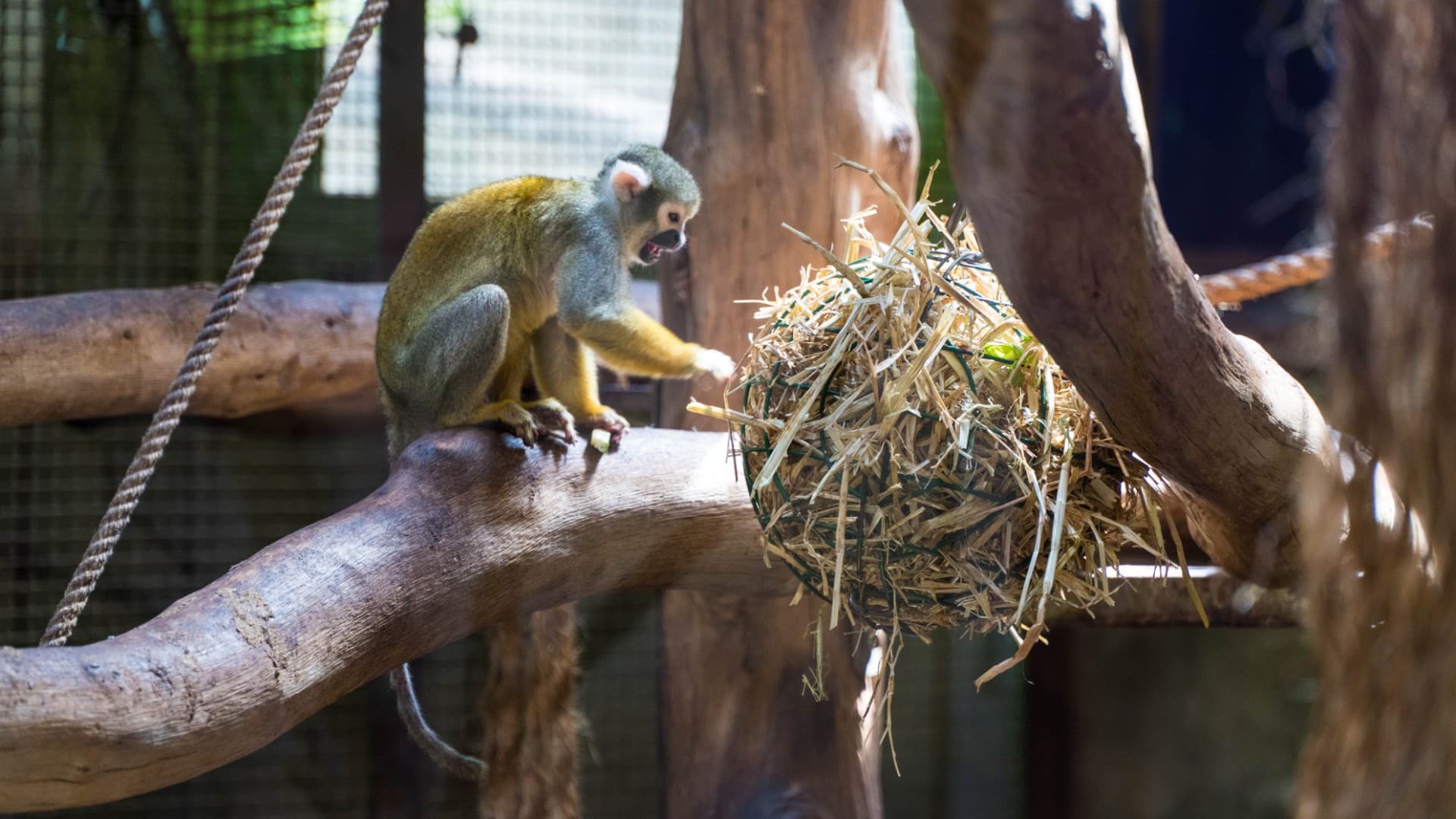 Parc Merveilleux: Pretpark en dierentuin in Luxemburg