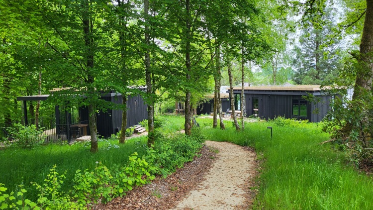 Roompot Hillview Resort Grandvoir in de Ardennen