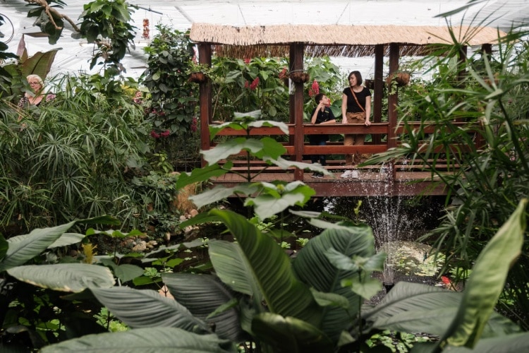 Vlindertuin in Grevenmacher