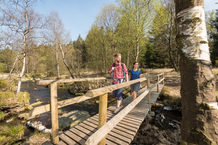 Wandelen op de Hoge Venen bij Eupen