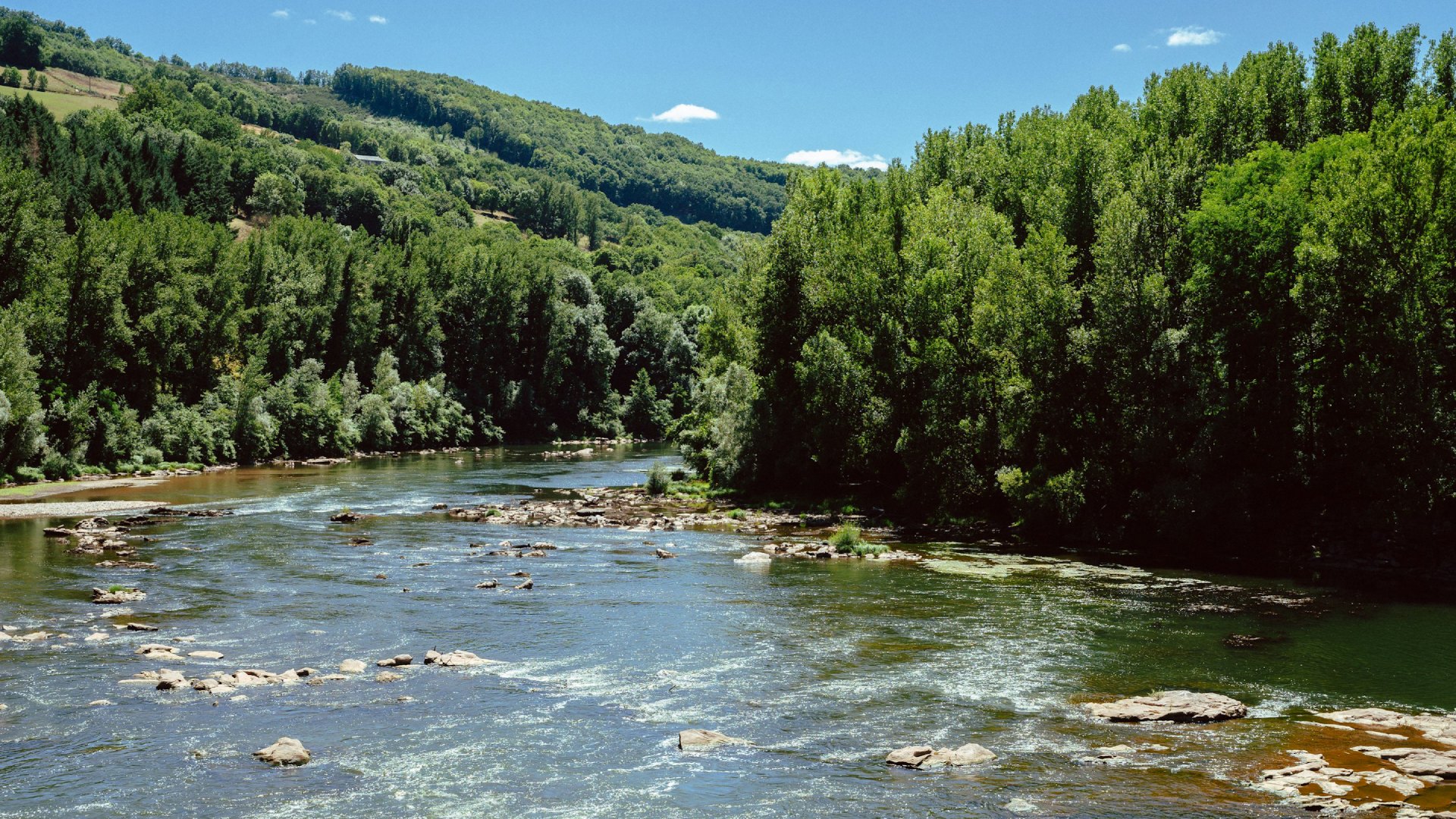 Blauwalg in de Ardennen