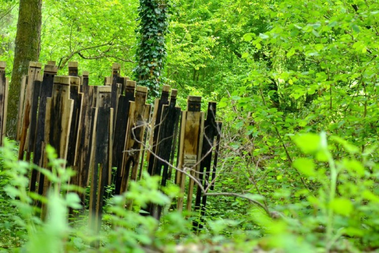 Kunstwandeling in Gesves - Sentier d'Arts