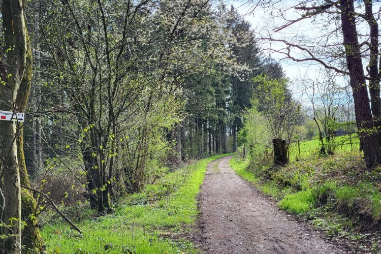 Wandeling door de Vallei van de Chantoirs in Banneux