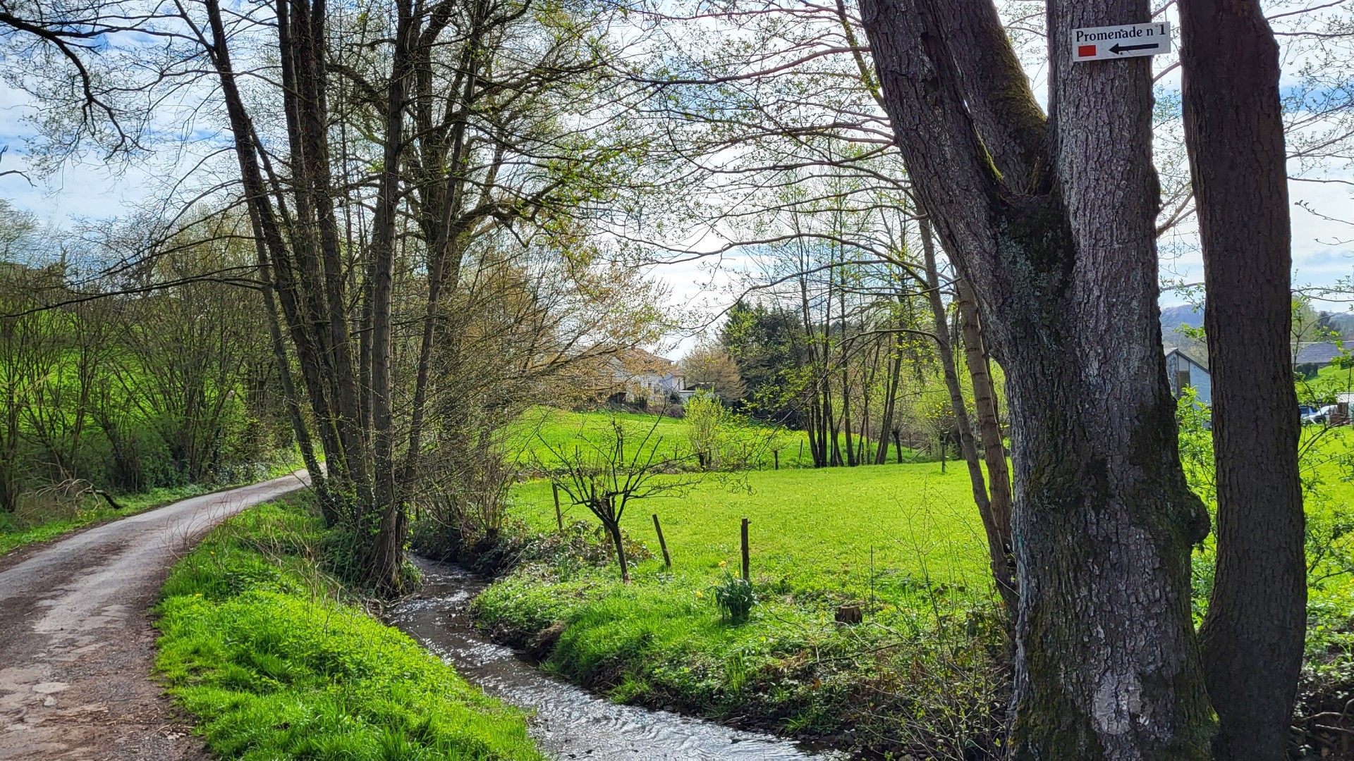 Wandeling door de Vallei van de Chantoirs in Banneux