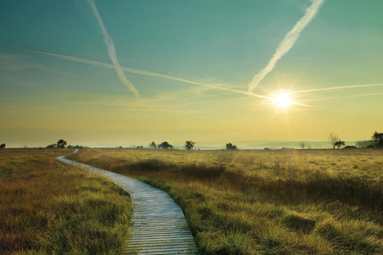Hotel Bütgenbacher Hof Hoge Venen