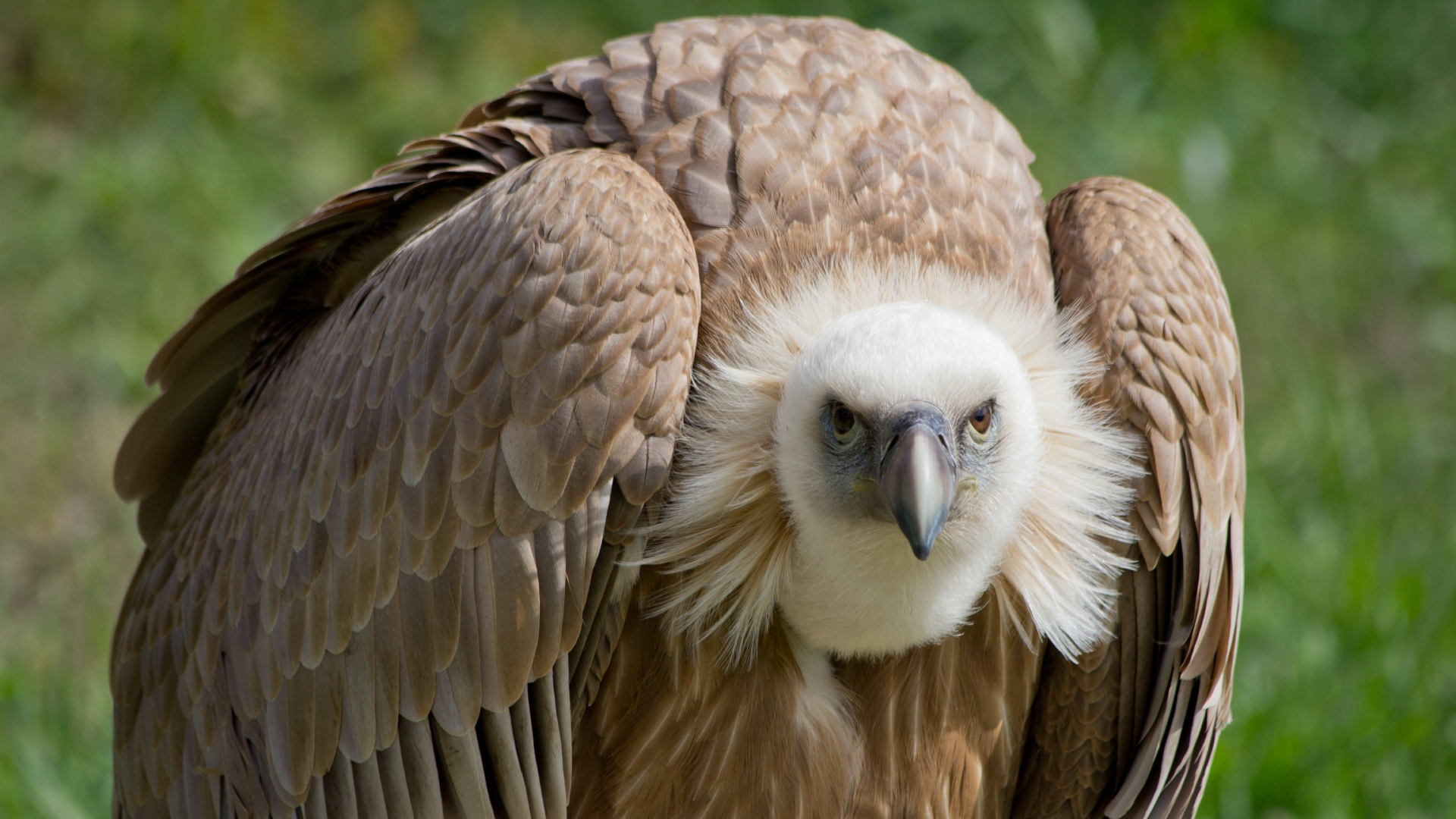 Dierentuin Parc Argonne Découverte in de Franse Ardennen
