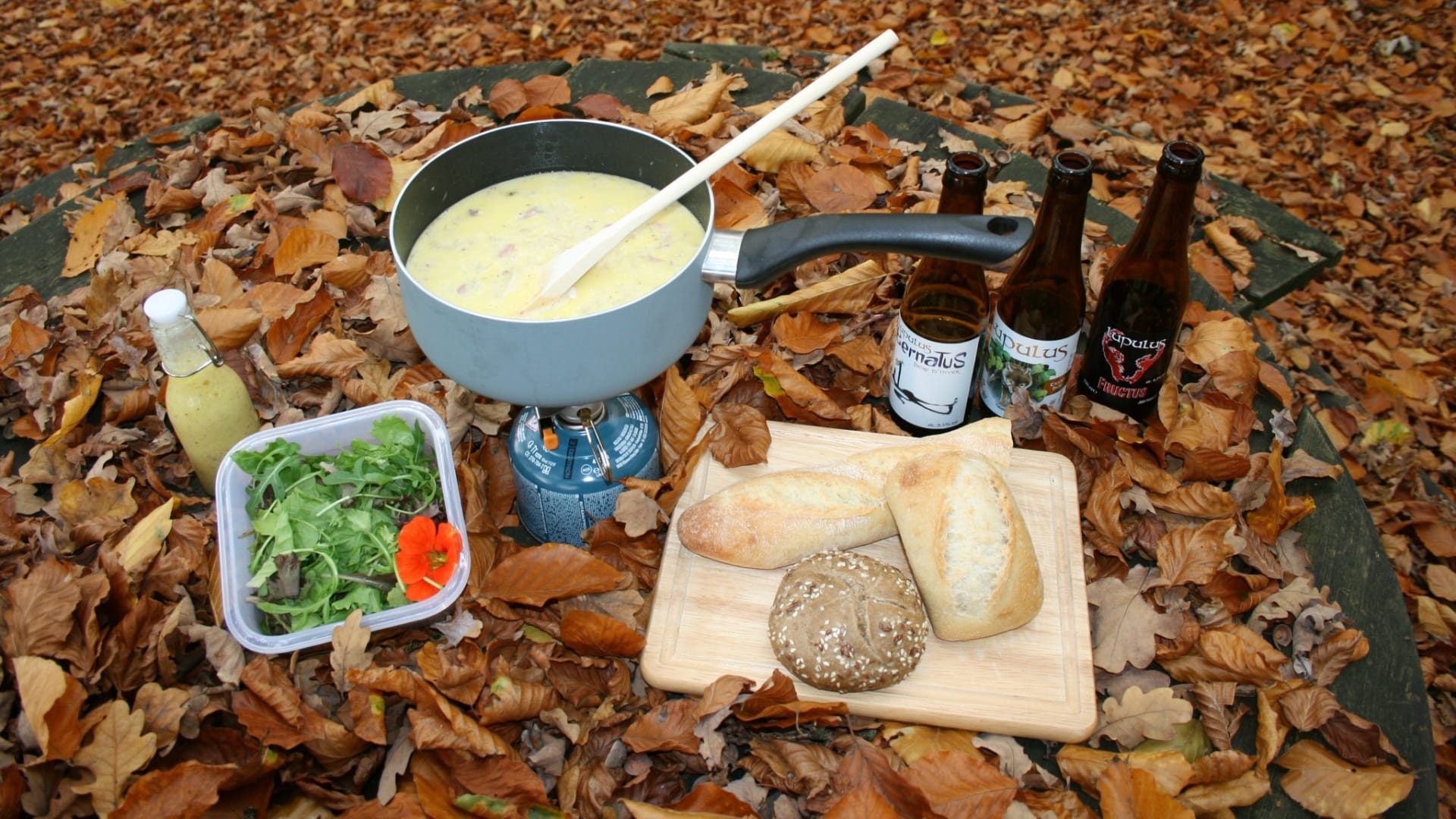 Culinaire wandeling met kaasfondue in de Ardennen