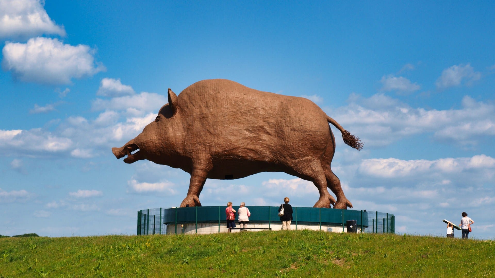 Woinic: het grootste Everzwijn ter wereld in de Franse Ardennen
