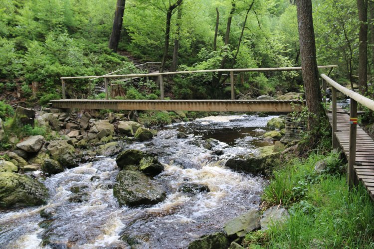 De 5 mooiste wandelroutes over vlonderpaden