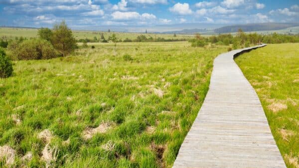 De 5 mooiste wandelroutes over vlonderpaden