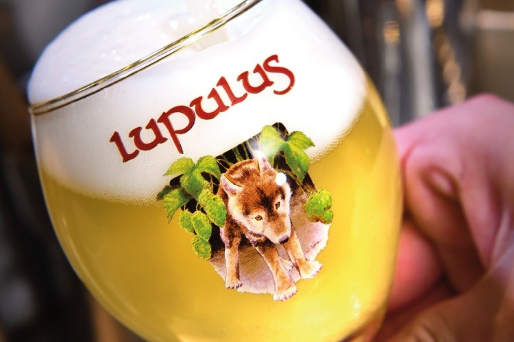 Vlonderpad Wandeling langs Brouwerij Lupulus