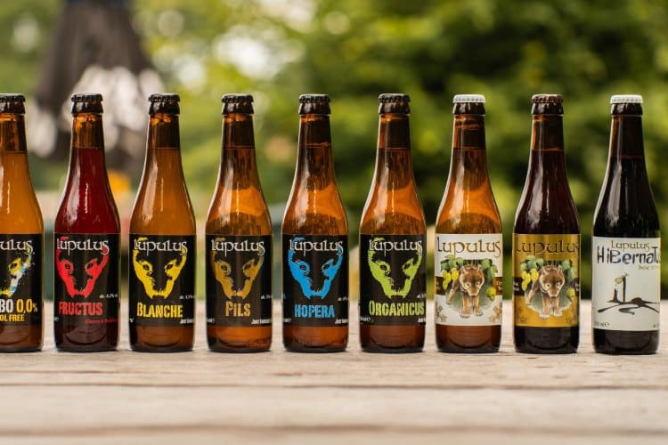 Vlonderpad Wandeling langs Brouwerij Lupulus