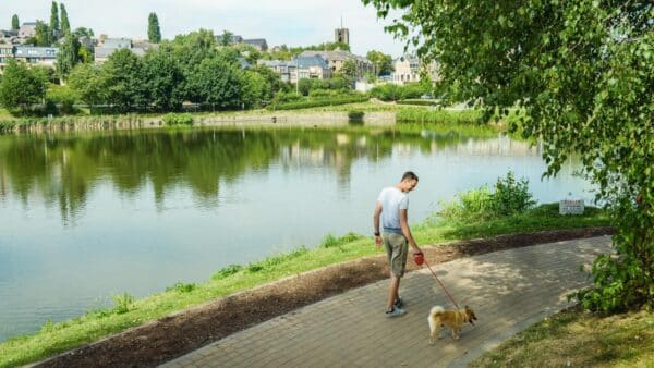 Meer van Louvain-la-Neuve