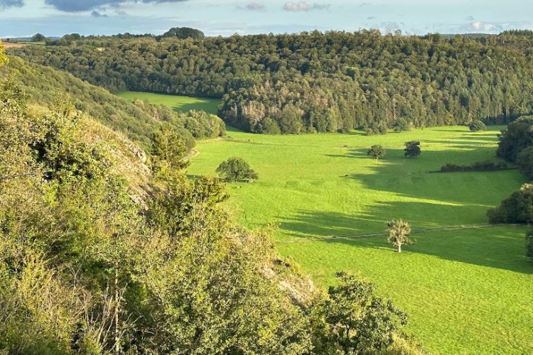 Panorama bij Han-sur-lesse