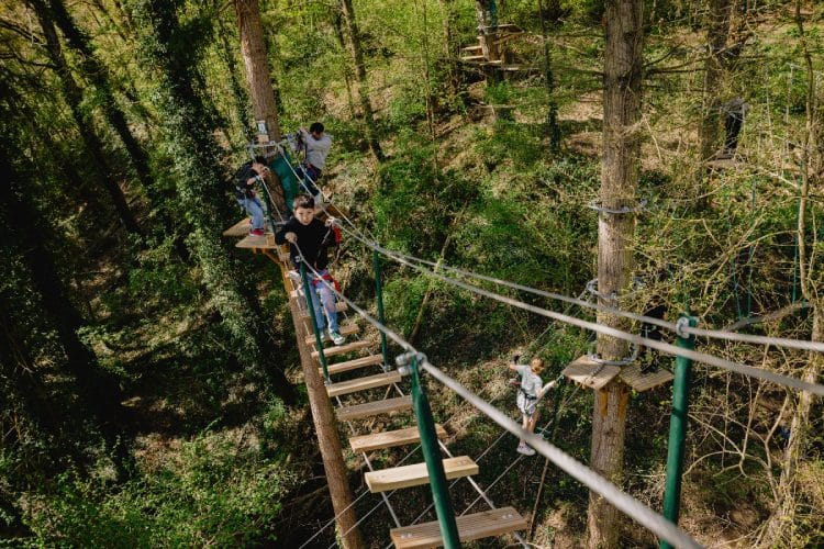 Tree Experience in Han-sur-Lesse