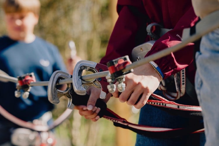 Tree Experience in Han-sur-Lesse