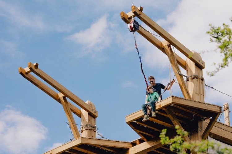 Tree Experience in Han-sur-Lesse