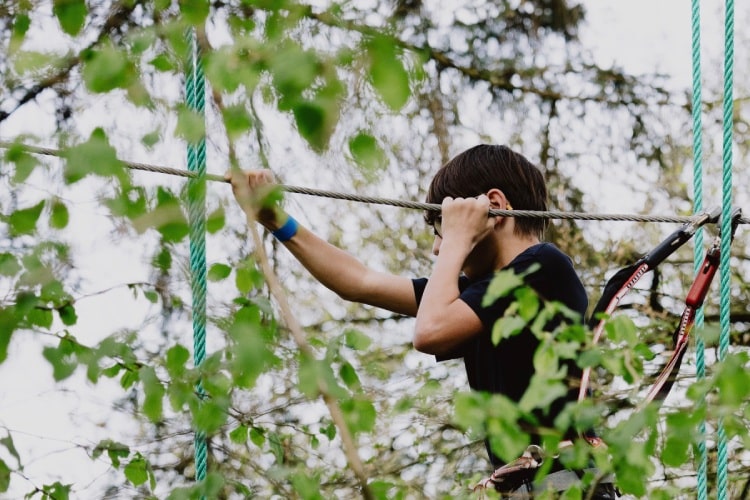 Tree Experience in Han-sur-Lesse