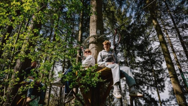 Tree Experience in Han-sur-Lesse