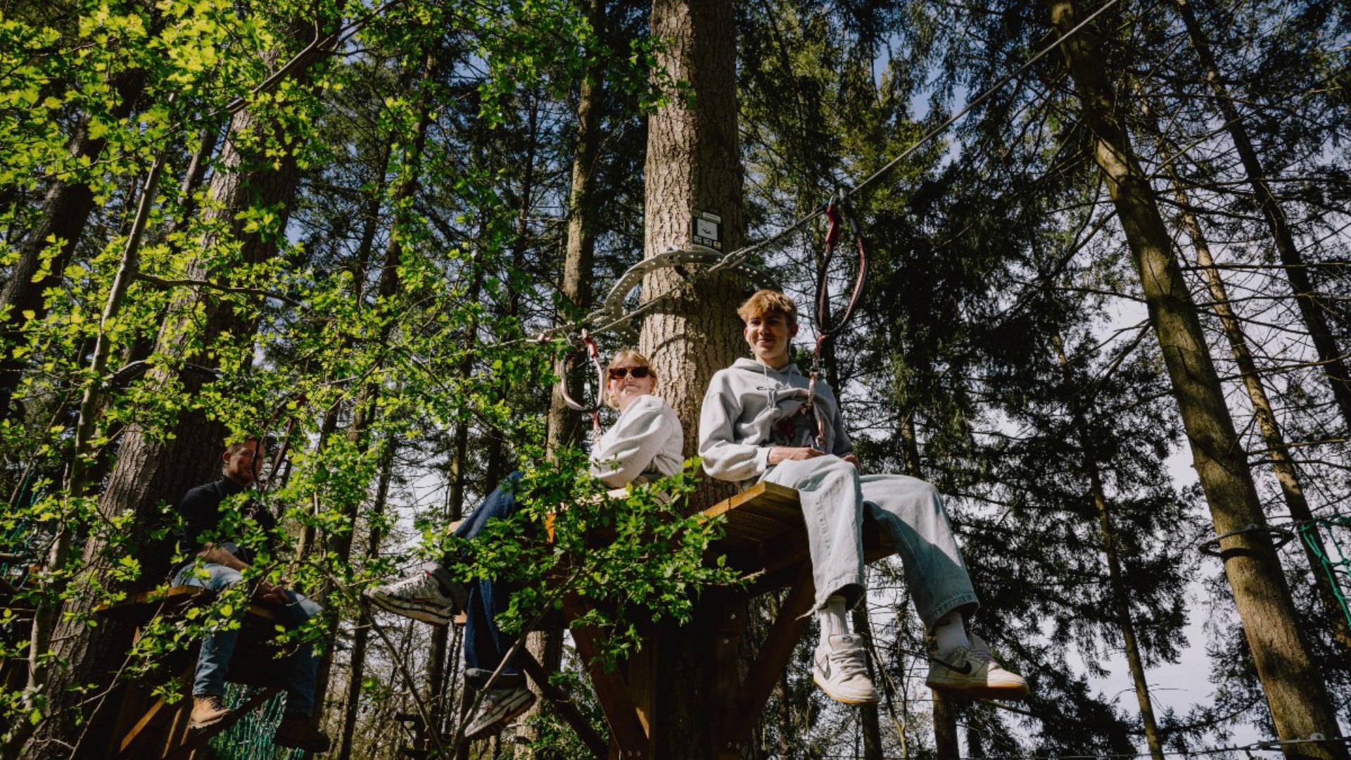 Tree Experience in Han-sur-Lesse