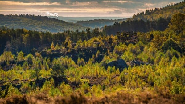 De Ardennen: een perfecte mix van avontuur en ontspanning