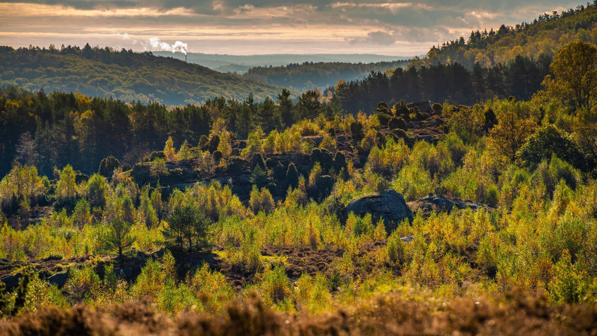 De Ardennen: een perfecte mix van avontuur en ontspanning