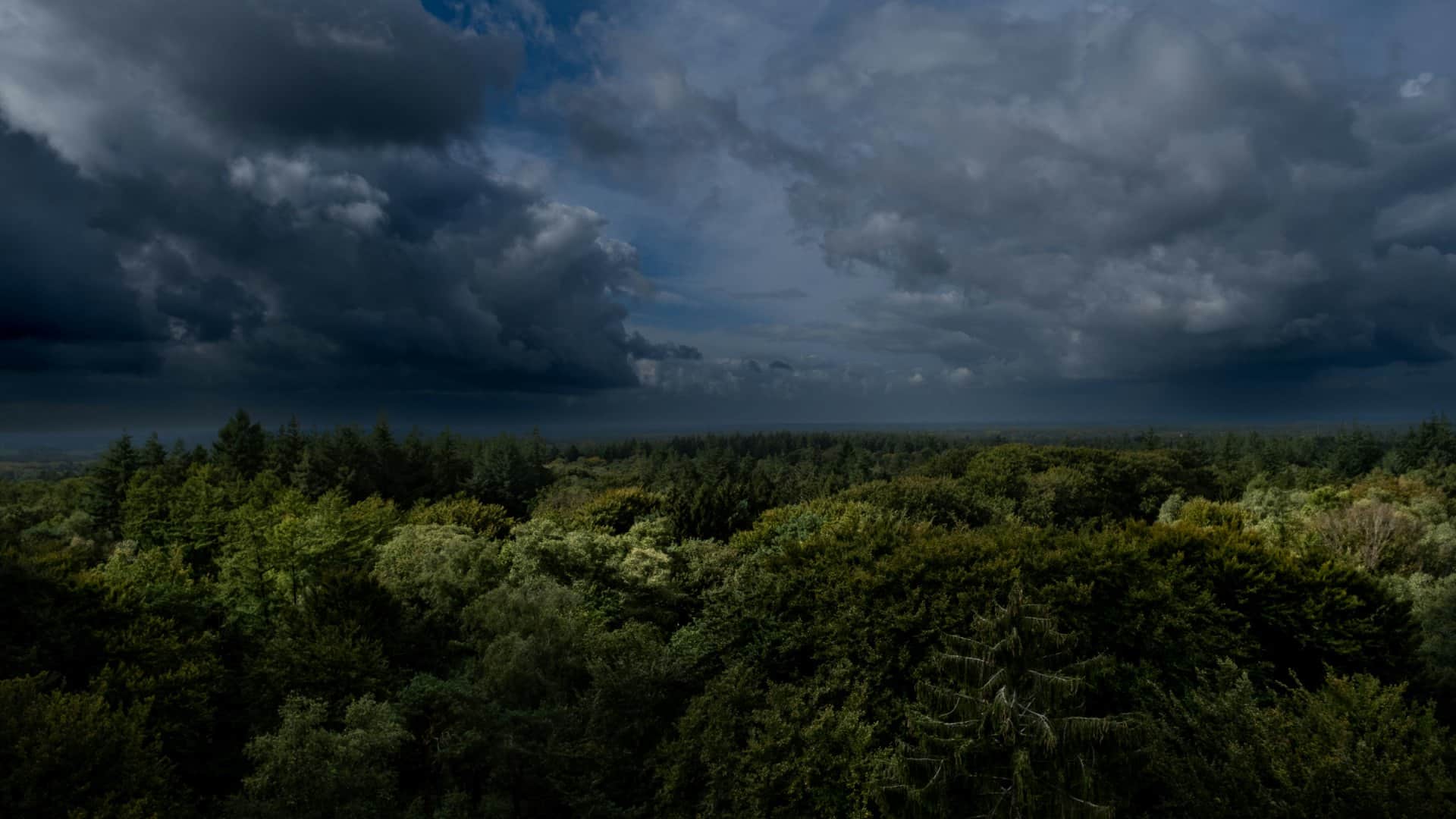 Noodweer in de Ardennen? Dit moet je doen op de camping!