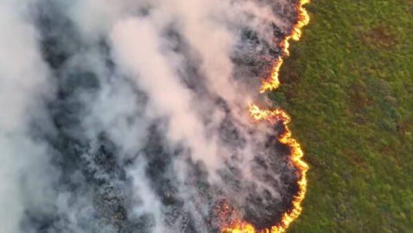 natuurbrand Hoge Venen in de Ardennen