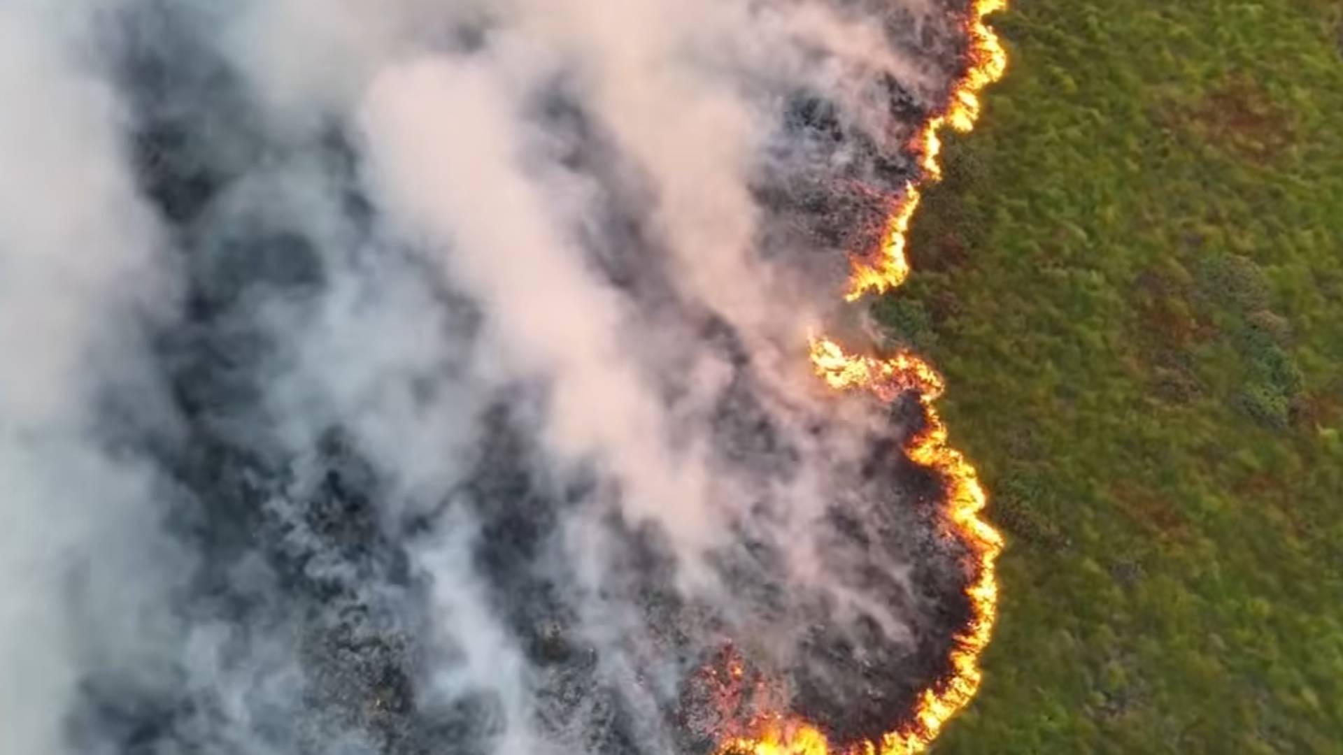 natuurbrand Hoge Venen in de Ardennen