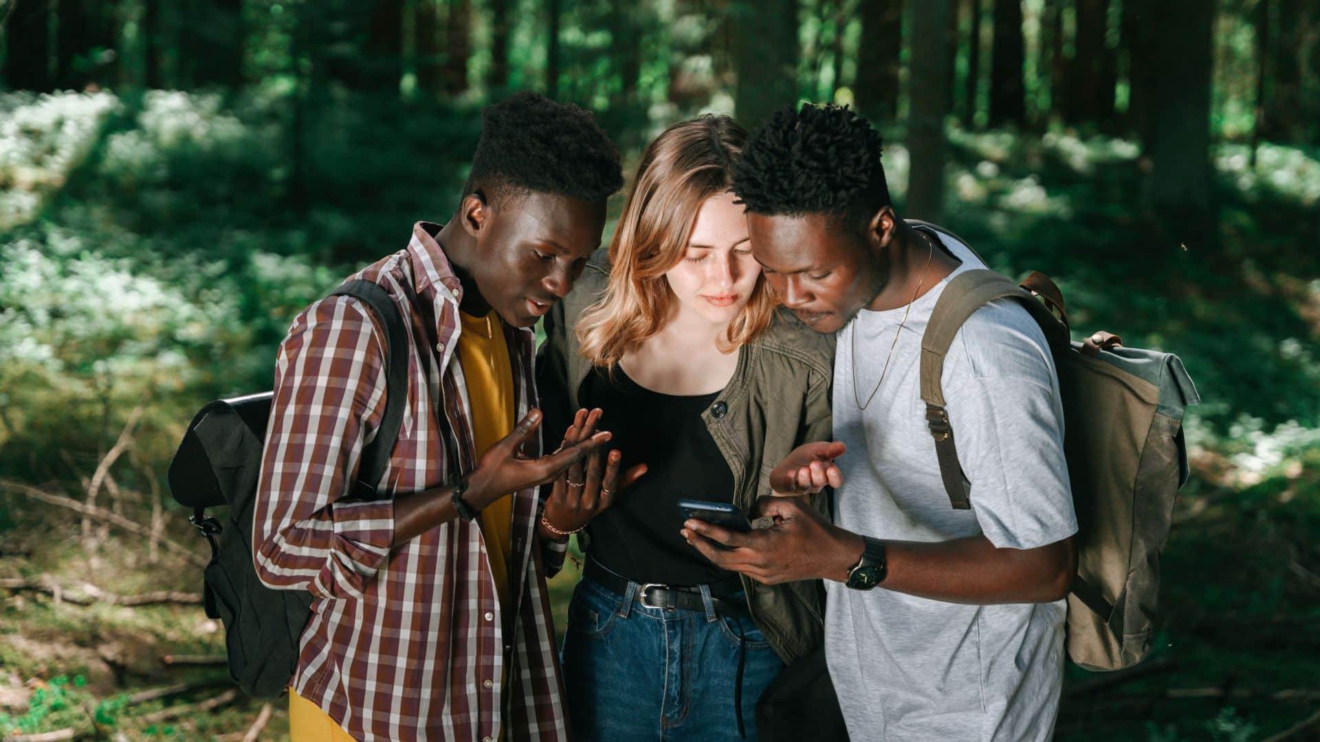 Internet in de Ardennen: zo blijf je verbonden tijdens je vakantie