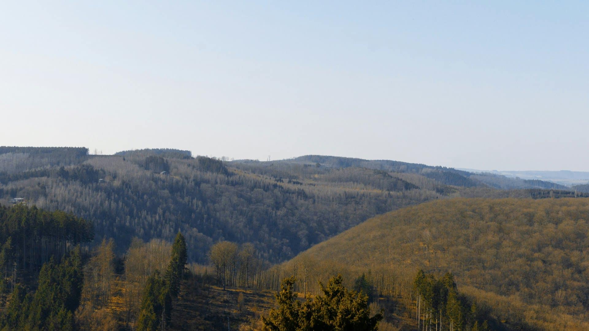 vriendenweekend-ardennen-geannuleerd-wat-nu
